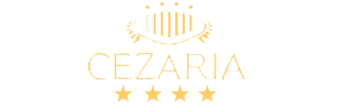 ΞΕΝΟΔΟΧΕΙΟ CEZARIA HOTEL ΝΕΟΚΑΙΣΑΡΕΙΑ ΙΩΑΝΝΙΝΑ ANOSTRO ΑΞΕΕ