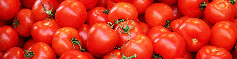 ΟΠΩΡΟΚΗΠΕΥΤΙΚΑ ΠΑΡΑΓΩΓΗ ΕΜΠΟΡΙΟ ΑΓΡΟΤΙΚΟΣ ΣΥΝΕΤΑΙΡΙΣΜΟΣ ΠΑΡΑΓΩΓΩΝ ΚΗΠΕΥΤΙΚΩΝ ΧΑΝΙΑ