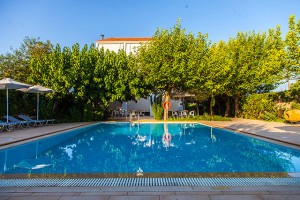 ΕΝΟΙΚΙΑΖΟΜΕΝΑ ΔΩΜΑΤΙΑ ΔΙΑΜΕΡΙΣΜΑΤΑ THANASIS APARTMENTS ΛΥΓΙΑ ΛΕΥΚΑΔΑ