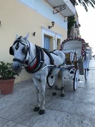 ΕΝΟΙΚΙΑΣΕΙΣ ΑΜΑΞΩΝ ΑΜΑΞΕΣ ΝΙΚΟΛΑΡΑΣ ΚΑΣΤΕΛΙ ΣΠΕΤΣΕΣ ΑΤΤΙΚΗ ΘΥΜΑΡΑΣ ΝΙΚΟΛΑΟΣ