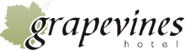 ΞΕΝΟΔΟΧΕΙΟ GRAPEVINES HOTEL ΑΛΥΚΑΝΑΣ ΖΑΚΥΝΘΟΣ ΜΟΥΖΑΚΗΣ ΚΥΡΙΑΚΟΣ